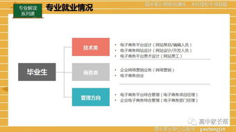 电子商务类专业科目